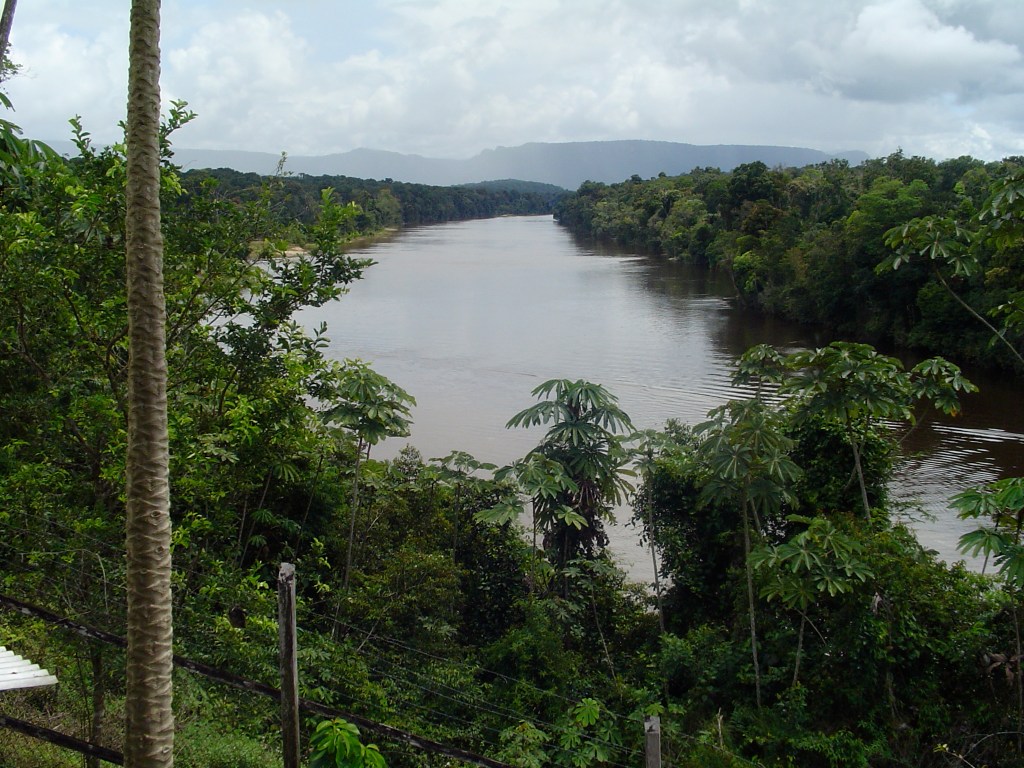 Miner Dies After Domestic Dispute at Potaro&nbsp;Camp